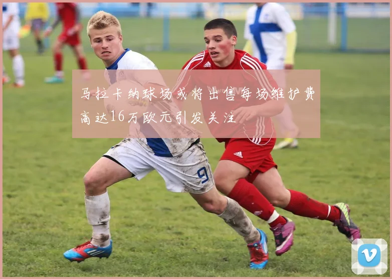 马拉卡纳球场或将出售每场维护费高达16万欧元引发关注