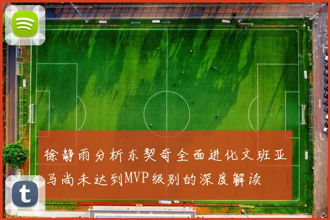 徐静雨分析东契奇全面进化文班亚马尚未达到MVP级别的深度解读