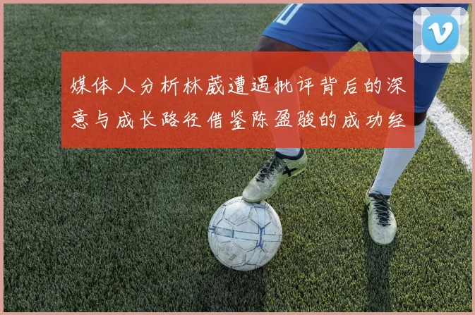 媒体人分析林葳遭遇批评背后的深意与成长路径借鉴陈盈骏的成功经验