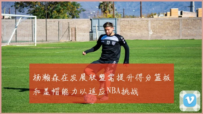 杨瀚森在发展联盟需提升得分篮板和盖帽能力以适应NBA挑战
